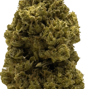 ZOIKS Cannabis Blüte Colombian Haze.