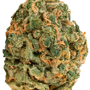 ZOIKS Cannabis Blüte OG Lime Kush.
