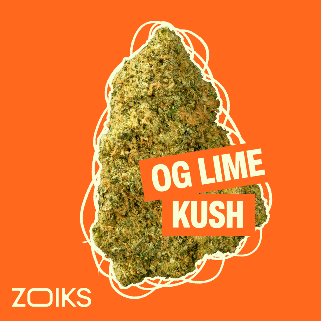 Cannabisblüte des Strains OG Lime Kush von ZOIKS