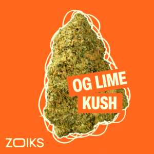 Cannabisblüte des Strains OG Lime Kush von ZOIKS