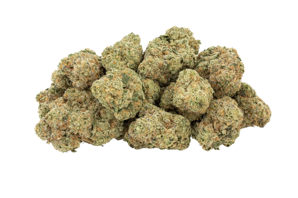 Cannabis Blüten der Sorte Moonlight Nectar