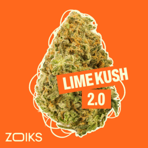 Auf einem leuchtend orangefarbenen Hintergrund ist eine dichte „Lime Kush 2.0“-Cannabisknospe zu sehen, in der linken unteren Ecke steht das Wort „ZOIKS“.